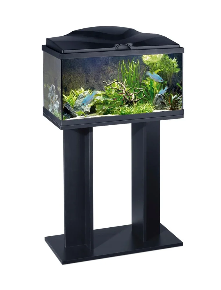 Ciano Kast Aqua 60 | Worldofanimals.nl Heeft Het! 1 Ciano Kast Aqua 60 | Worldofanimals.nl Heeft Het!