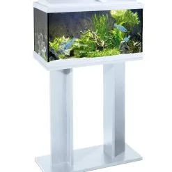 Ciano Kast Aqua 60 | Worldofanimals.nl Heeft Het!