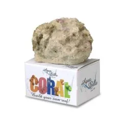 Aqua Della Koraal Reef Filling - 8,5x7,7x3,5CM