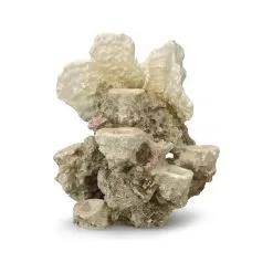 Aqua Della Koraal Reef ML - 21x18x31CM