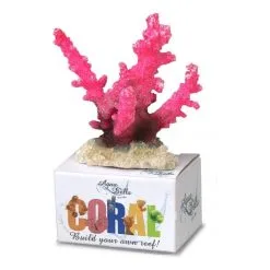 Aqua Della Koraal Staghorn Roze - 10x8,8x4,8CM