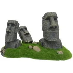 Aqua Della Moai Easter Island | Worldofanimals.nl Heeft Het!