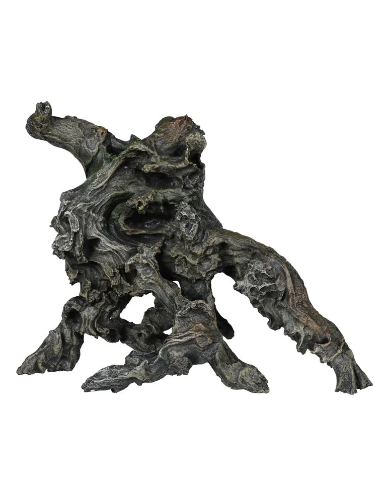 Aqua Della Olive Branche | Worldofanimals.nl Heeft Het! 1 Aqua Della Olive Branche | Worldofanimals.nl Heeft Het!