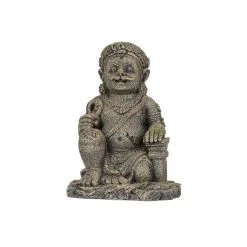 Aqua Della Plaoson Medium | Worldofanimals.nl Heeft Het!