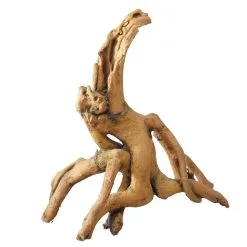 Aqua Della Root Mangrove | Worldofanimals.nl Heeft Het!