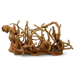 Aqua Della Rootmeshwork | Worldofanimals.nl Heeft Het!