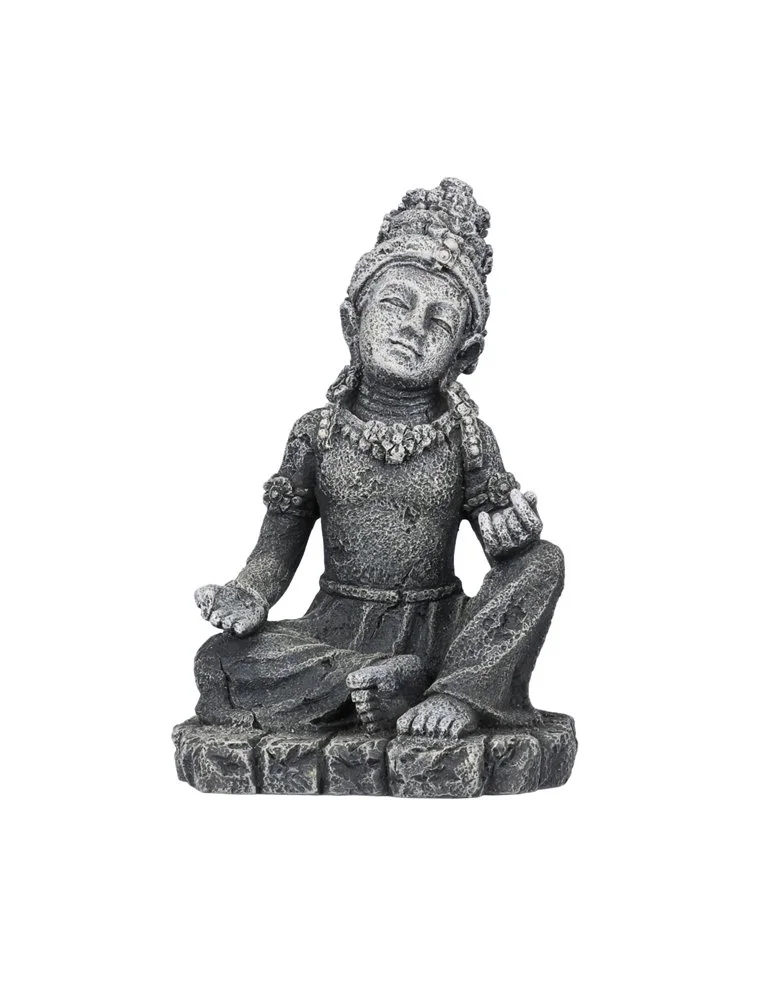 Aqua Della Siara | Worldofanimals.nl Heeft Het! 1 Aqua Della Siara | Worldofanimals.nl Heeft Het!