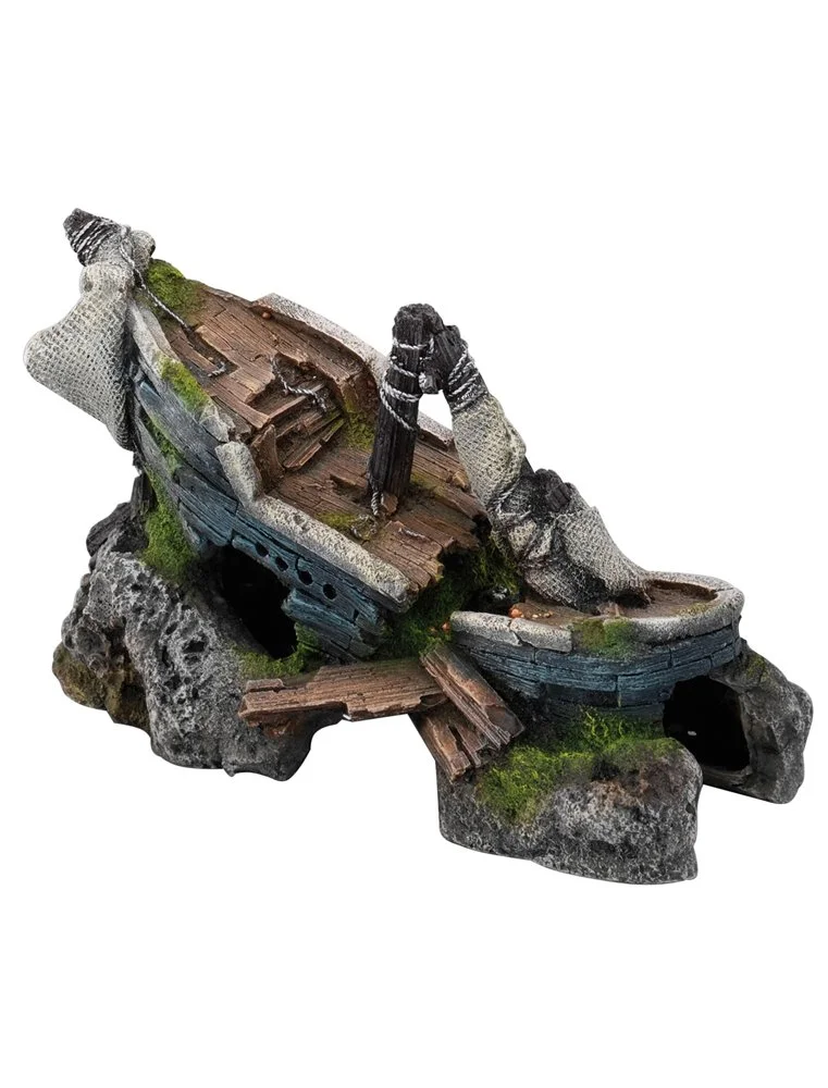 Aqua Della Sunken Ship 1 | Worldofanimals.nl Heeft Het! 1 Aqua Della Sunken Ship 1 | Worldofanimals.nl Heeft Het!