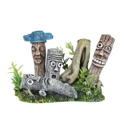 Aqua Della Surf | Worldofanimals.nl Heeft Het!