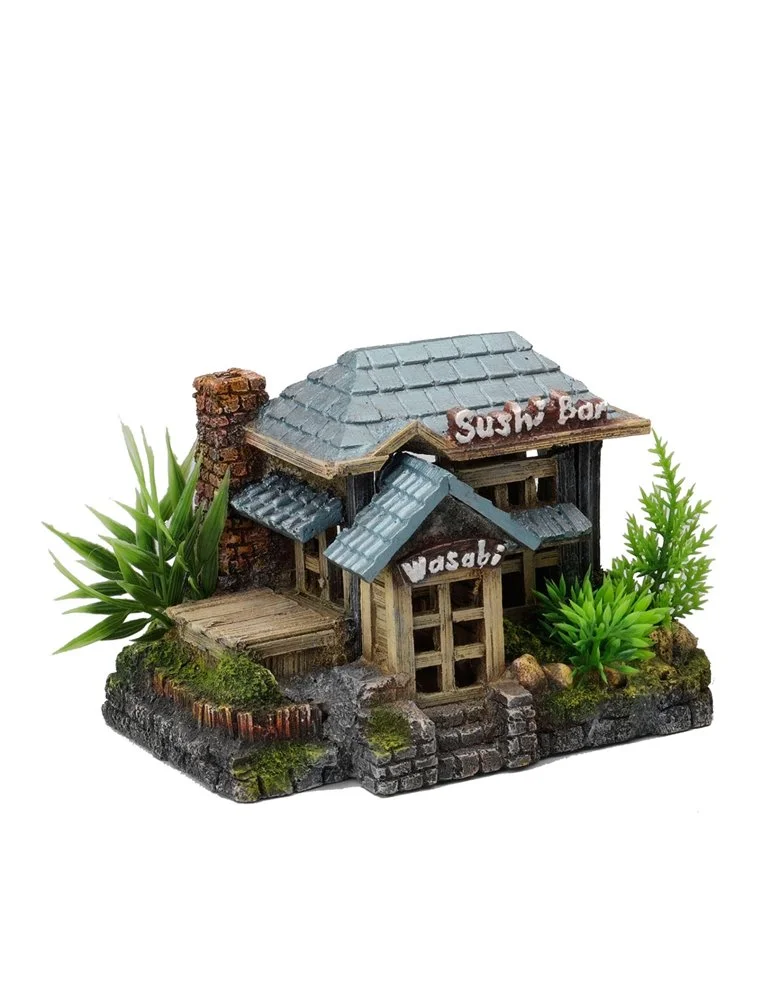 Aqua Della Sushi Bar | Worldofanimals.nl Heeft Het! 1 Aqua Della Sushi Bar | Worldofanimals.nl Heeft Het!