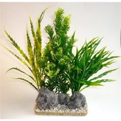 Sydeco Aloe Vera Giant | Worldofanimals.nl Heeft Het!