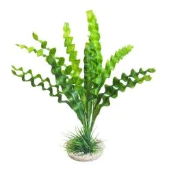 Sydeco Aponogeton Plant | Worldofanimals.nl Heeft Het!