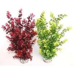 Sydeco Butterfly | Worldofanimals.nl Heeft Het!