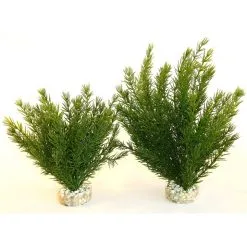 Sydeco Club Moss Large | Worldofanimals.nl Heeft Het!