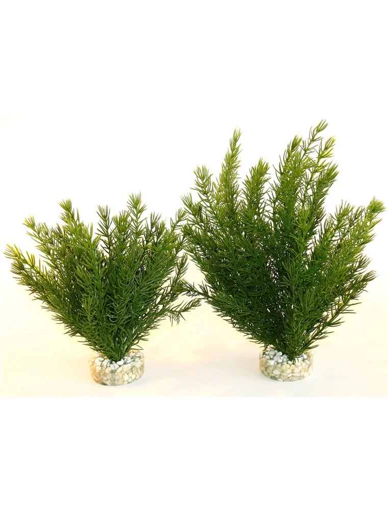 Sydeco Club Moss Large | Worldofanimals.nl Heeft Het! 1 Sydeco Club Moss Large | Worldofanimals.nl Heeft Het!