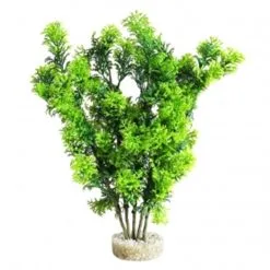 Sydeco Club Moss Maxi | Worldofanimals.nl Heeft Het!