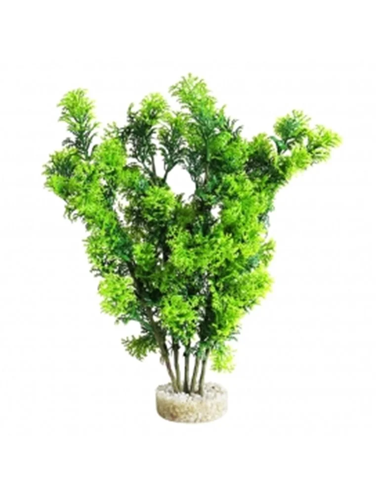 Sydeco Club Moss Maxi | Worldofanimals.nl Heeft Het! 1 Sydeco Club Moss Maxi | Worldofanimals.nl Heeft Het!