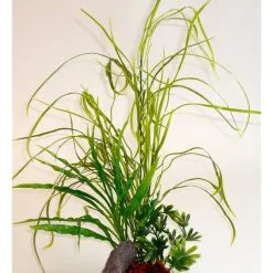 Sydeco Lily Grass Rock | Worldofanimals.nl Heeft Het!