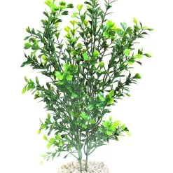 Sydeco Natural Curly Plant | Worldofanimals.nl Heeft Het!