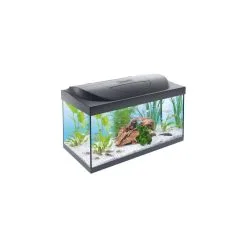 Tetra Starter Line LED Aquarium, 54 Liter