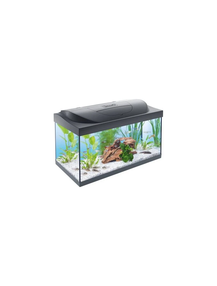 Tetra Starter Line LED Aquarium, 54 Liter 1 Tetra Starter Line LED Aquarium, 54 Liter