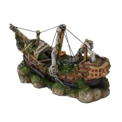 Aqua Della Three Masted Ship | Worldofanimals.nl Heeft Het!