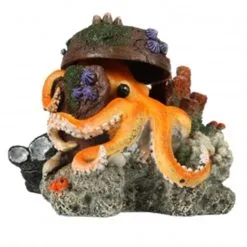 Aqua Della Verdwaalde Octopus 15,5x12,5x11cm